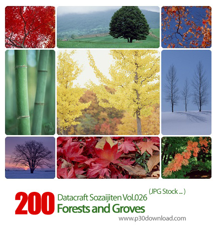 دانلود مجموعه عکس های جنگل و باغ ها - Datacraft Sozaijiten Vol.026 Forests and Groves