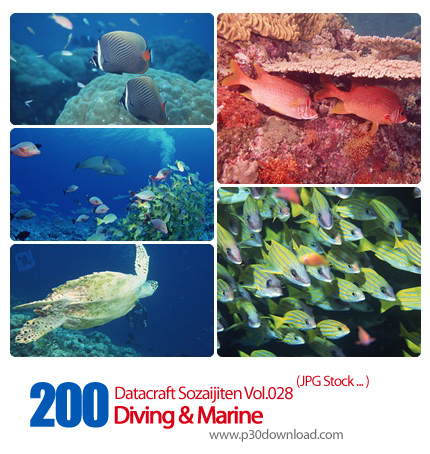 دانلود مجموعه عکس های دریا و غواصی - Datacraft Sozaijiten Vol.028 Diving & Marine