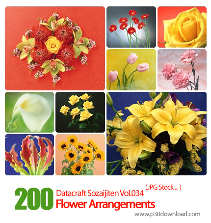 دانلود مجموعه عکس های چیدمان گل - Datacraft Sozaijiten Vol.034 Flower Arrangements