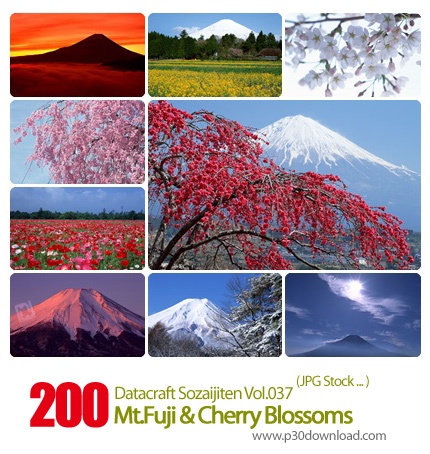 دانلود مجموعه عکس های کوه فوجی و شکوفه گیلاس - Datacraft Sozaijiten Vol.037 Mt.Fuji & Cherry Blossom