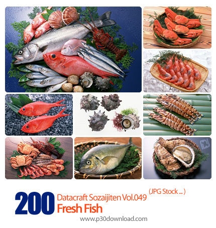 دانلود مجموعه عکس های ماهی تازه - Datacraft Sozaijiten Vol.049 Fresh Fish
