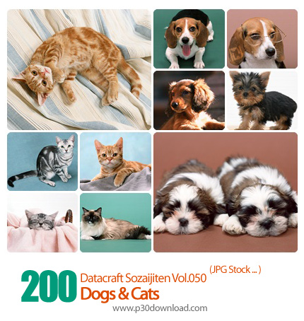 دانلود مجموعه عکس های سگ و گربه - Datacraft Sozaijiten Vol.050 Dogs & Cats