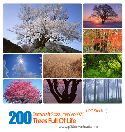 دانلود مجموعه عکس های درختان در فصل - Datacraft Sozaijiten Vol.076 Trees Full Of Life