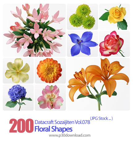 دانلود مجموعه عکس های گل - Datacraft Sozaijiten Vol.078 Floral Shapes