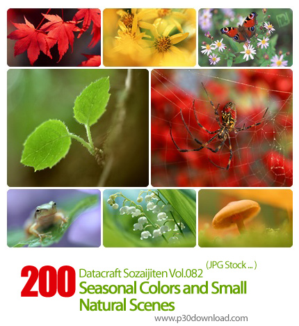 دانلود مجموعه عکس های طبیعت در فصول مختلف - Datacraft Sozaijiten Vol.082 Seasonal Colors and Small N