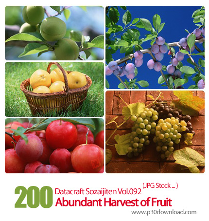 دانلود مجموعه عکس های برداشت میوه - Datacraft Sozaijiten Vol.092 Abundant Harvest of Fruit