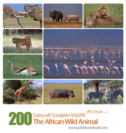 دانلود مجموعه عکس های حیوانات وحشی آفریقایی - Datacraft Sozaijiten Vol.098 The African Wild Animal