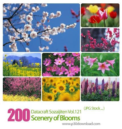 دانلود مجموعه عکس های منظره، طبیعت - Datacraft Sozaijiten Vol.121 Scenery of Blooms
