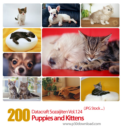 دانلود مجموعه عکس های سگ و گربه - Datacraft Sozaijiten Vol.124 Puppies and Kittens