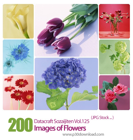 دانلود مجموعه عکس های گل ها - Datacraft Sozaijiten Vol.125 Images of Flowers