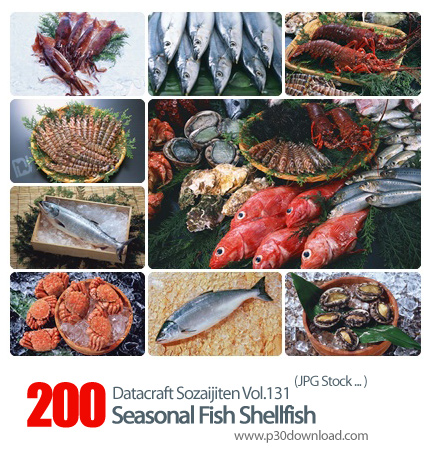 دانلود مجموعه عکس های ماهی، صدف - Datacraft Sozaijiten Vol.131 Seasonal Fish Shellfish