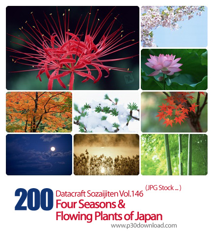 دانلود مجموعه عکس های چهار فصل و گیاهان ژاپن - Datacraft Sozaijiten Vol.146 Four Seasons & Flowing P