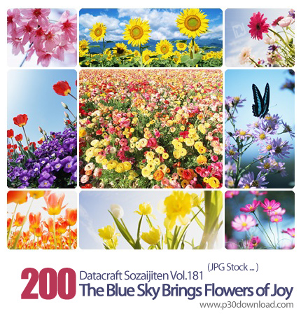 دانلود مجموعه عکس های گل های زیبا و با طروات - Datacraft Sozaijiten Vol.181 The Blue Sky Brings Flow