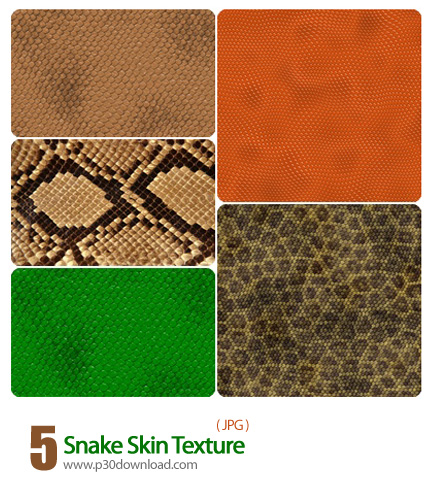 دانلود بافت پوست مار - Texture of Snake Skin 