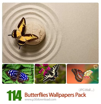 دانلود والپیپرهای پروانه های زیبا - Butterflies Wallpapers Pack