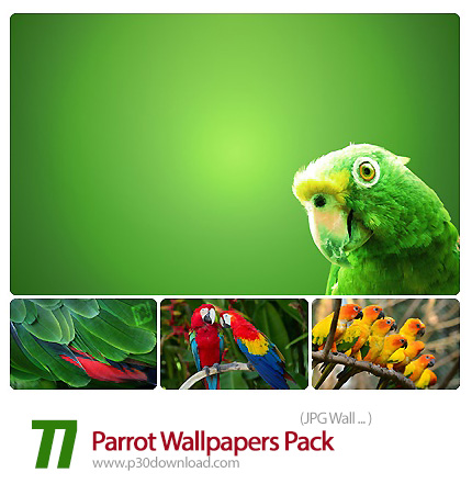دانلود والپیپر های طوطی - Parrot Wallpapers Pack