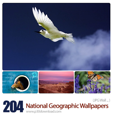 دانلود والپیپرهای متنوع نشنال جئوگرافیک - 2007 National Geographic Wallpapers