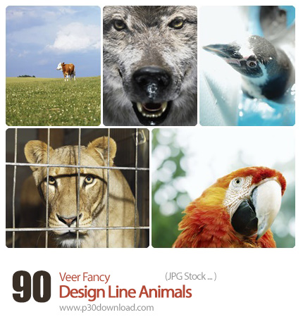 دانلود مجموعه تصاویر با کیفیت حیوانات - Veer Fancy Design Line Animals