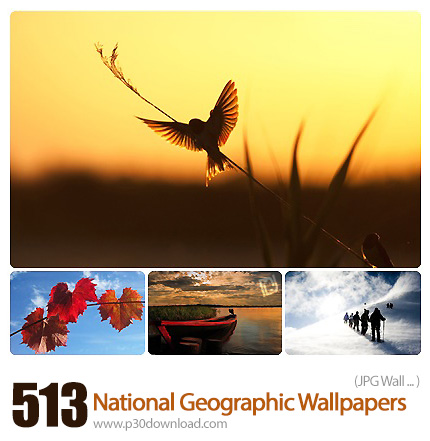 دانلود والپیپرهای متنوع نشنال جئوگرافیک - 2010 National Geographic Wallpapers