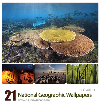 دانلود والپیپرهای متنوع نشنال جئوگرافیک - 2011 National Geographic Wallpapers