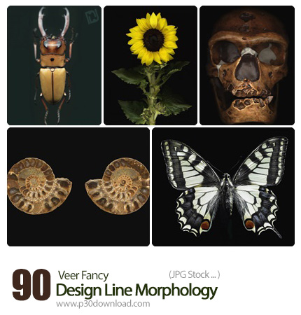 دانلود مجموعه تصاویر با کیفیت ریخت شناسی (زیست شناسی)، شکل ظاهری اندام جانداران - Veer Fancy Design 