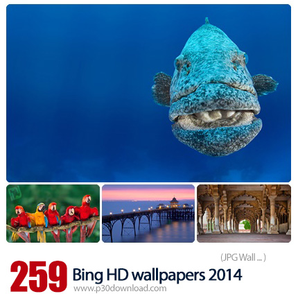 دانلود مجموعه والپیپرهای متنوع موتور جستجوی بینگ 2014 - Bing HD wallpapers 2014