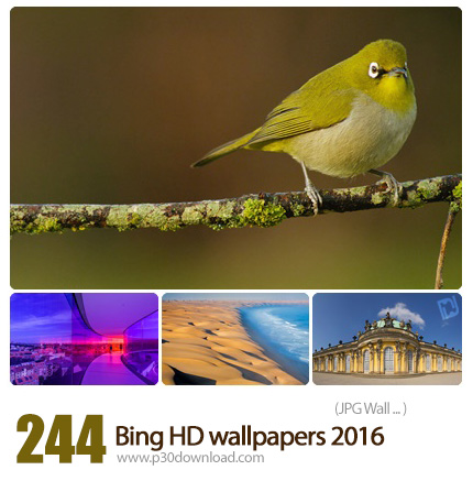 دانلود مجموعه والپیپرهای متنوع موتور جستجوی بینگ 2016 - Bing HD wallpapers 2016