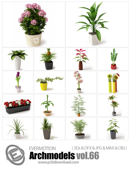 دانلود Archmodels Vol 66 - آرچ مدل 66: مدل های آماده سه بعدی گل و گیاهان زینتی همراه با گلدان و ...