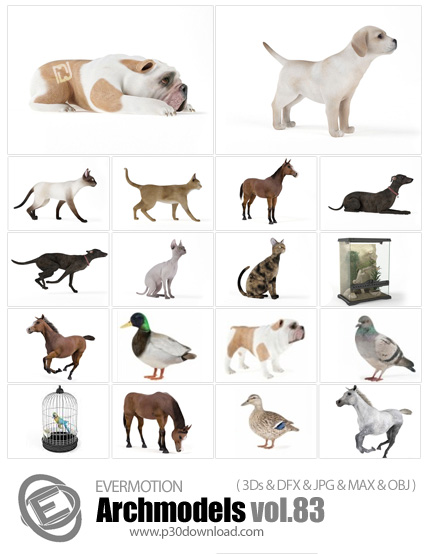 دانلود Archmodels Vol 83 - آرچ مدل 83: مدل های آماده سه بعدی حیوانات مانند سگ و ماهی و اسب و گربه و 