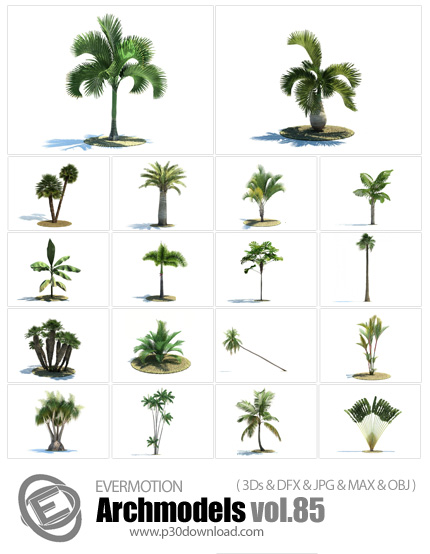 دانلود Archmodels Vol 85 - آرچ مدل 85: مدل های آماده سه بعدی درخت ها و نخل ها و سایر درختان بلند قام