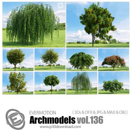 دانلود Archmodels Vol 136 - آرچ مدل 136: مدل های آماده سه بعدی درخت و درختچه های باکیفیت و ... 