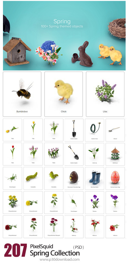 دانلود PixelSquid Spring Collection - مجموعه تصاویر لایه باز المان های بهار، شکوفه، جوجه، گل و گیاه،