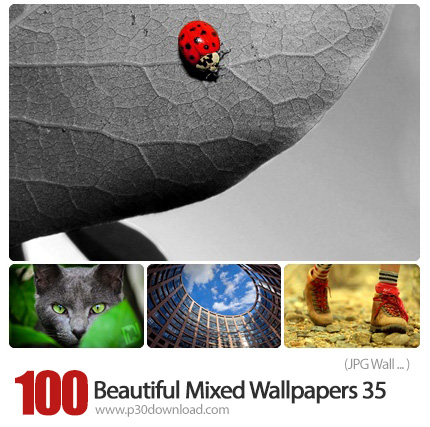 دانلود والپیپر های ترکیبی زیبا - Beautiful Mixed Wallpapers 35