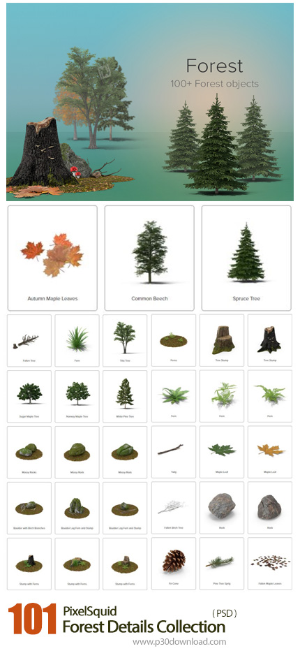 دانلود PixelSquid Forest Details Collection - مجموعه تصاویر لایه باز عناصر جنگل، درخت، شاخ و برگ، سن
