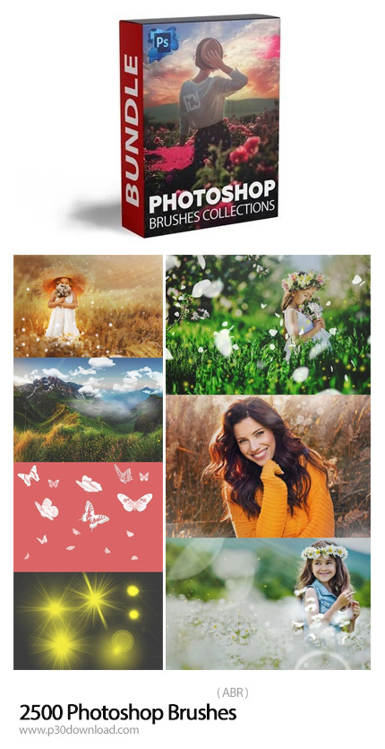 دانلود 2500 Photoshop Brushes - مجموعه براش فتوشاپ شامل پرنده، پروانه، ابر، دود، آبرنگی و ...
