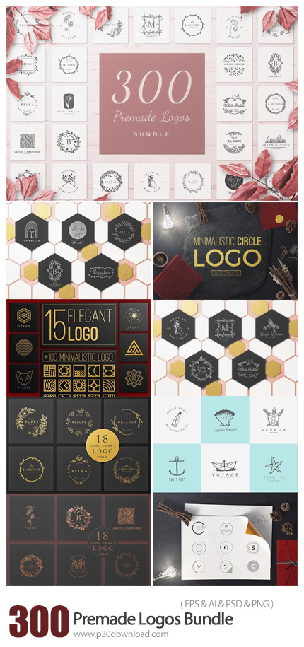 دانلود CreativeMarket Premade Logos Bundle - 300 آرم و لوگوی آماده با طرح های متنوع