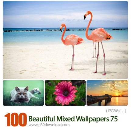 دانلود والپیپر های ترکیبی زیبا - Beautiful Mixed Wallpapers 75