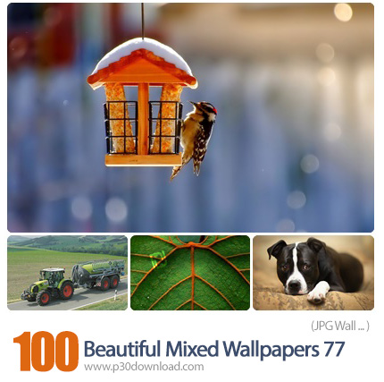 دانلود والپیپر های ترکیبی زیبا - Beautiful Mixed Wallpapers 77
