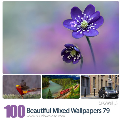 دانلود والپیپر های ترکیبی زیبا - Beautiful Mixed Wallpapers 79