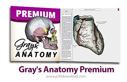 دانلودGray's Anatomy Premium Edition v1.4 MacOS - نرم افزاری بر اساس کتاب آناتومی gray با تصاویر عال