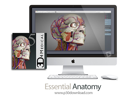 دانلود Essential Anatomy v5.0.5 MacOS - نرم افزار آناتومی بدن انسان برای مک