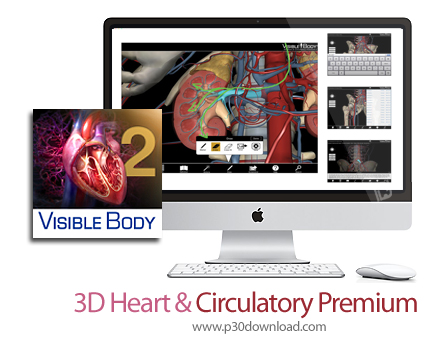 دانلود 3D Heart & Circulatory Premium v2.0.0 MacOS - نرم افزار سیستم گردش خون و قلب انسان برای مک