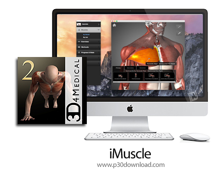 دانلود iMuscle 2 v3.9.1 MacOS - نرم افزار تناسب اندام برای مک