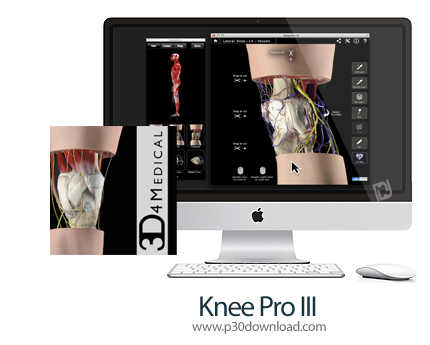 دانلود Knee Pro III v3.2.2 MacOS - نرم افزار پزشکی آناتومی بدن انسان برای مک