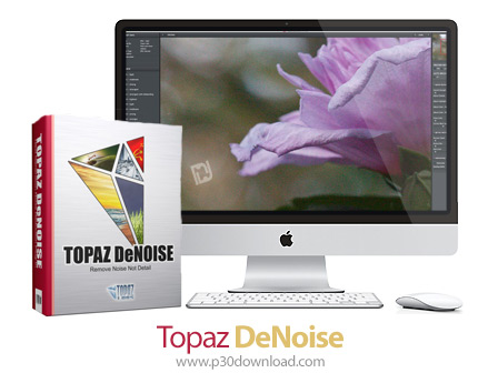 دانلود Topaz DeNoise v6.0.3 MacOS - پلاگین حذف نویز و افزایش کیفیت تصاویر در فتوشاپ برای مک
