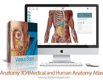 دانلود Anatomy 3D4Medical and Human Anatomy Atlas v7.4.01 MacOS - نرم افزار اطلس سه بعدی بدن انسان ب