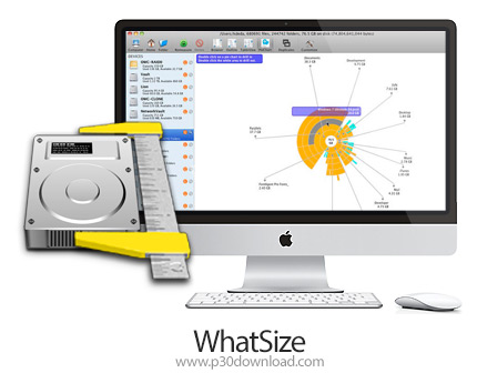 دانلود WhatSize v6.6.3 MacOS - نرم افزار مرتب کردن فایل ها بر اساس حجم برای مک