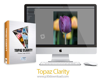 topaz clarity sample