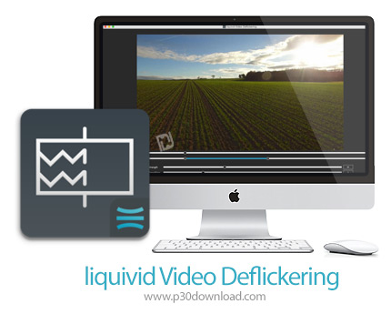 دانلود liquivid Video Deflickering v1.4.1 MacOS - نرم افزار حذف نویز تصویر برای مک