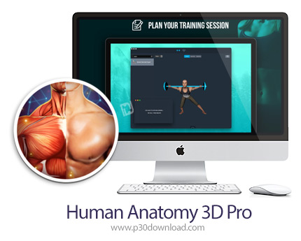 دانلود Human Anatomy 3D Pro - Bones And Muscles v4.0.0 MacOS - نرم افزار آناتومی سه بعدی بدن برای مک